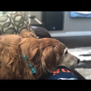 Meet your Posher, Haley